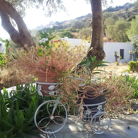 Ostria Studios Apartment