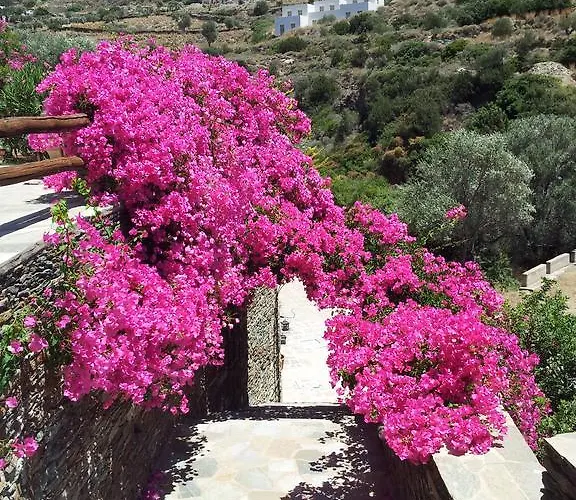 Apartment Ostria Studios *