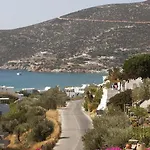 Ostria